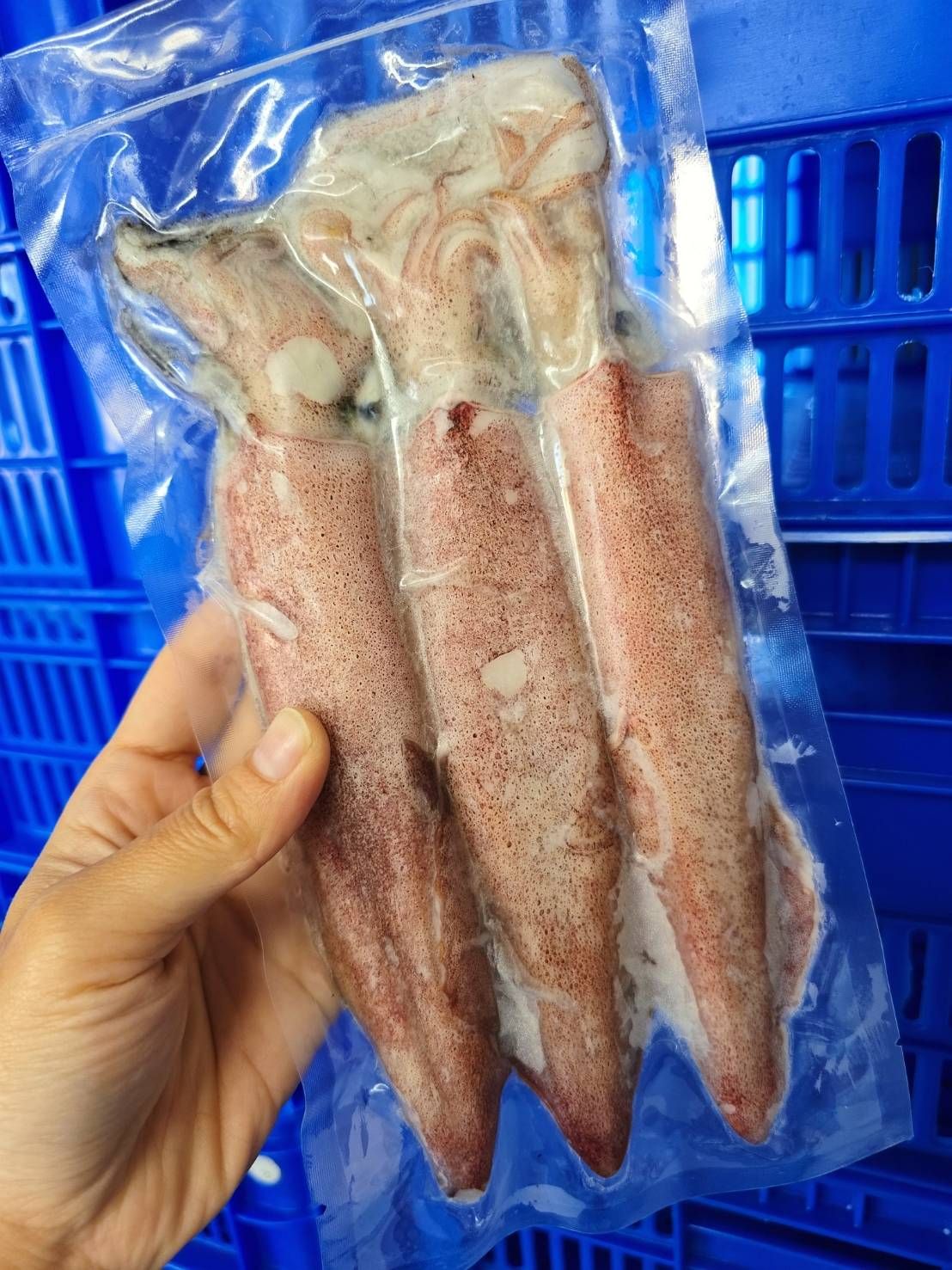 三文小卷