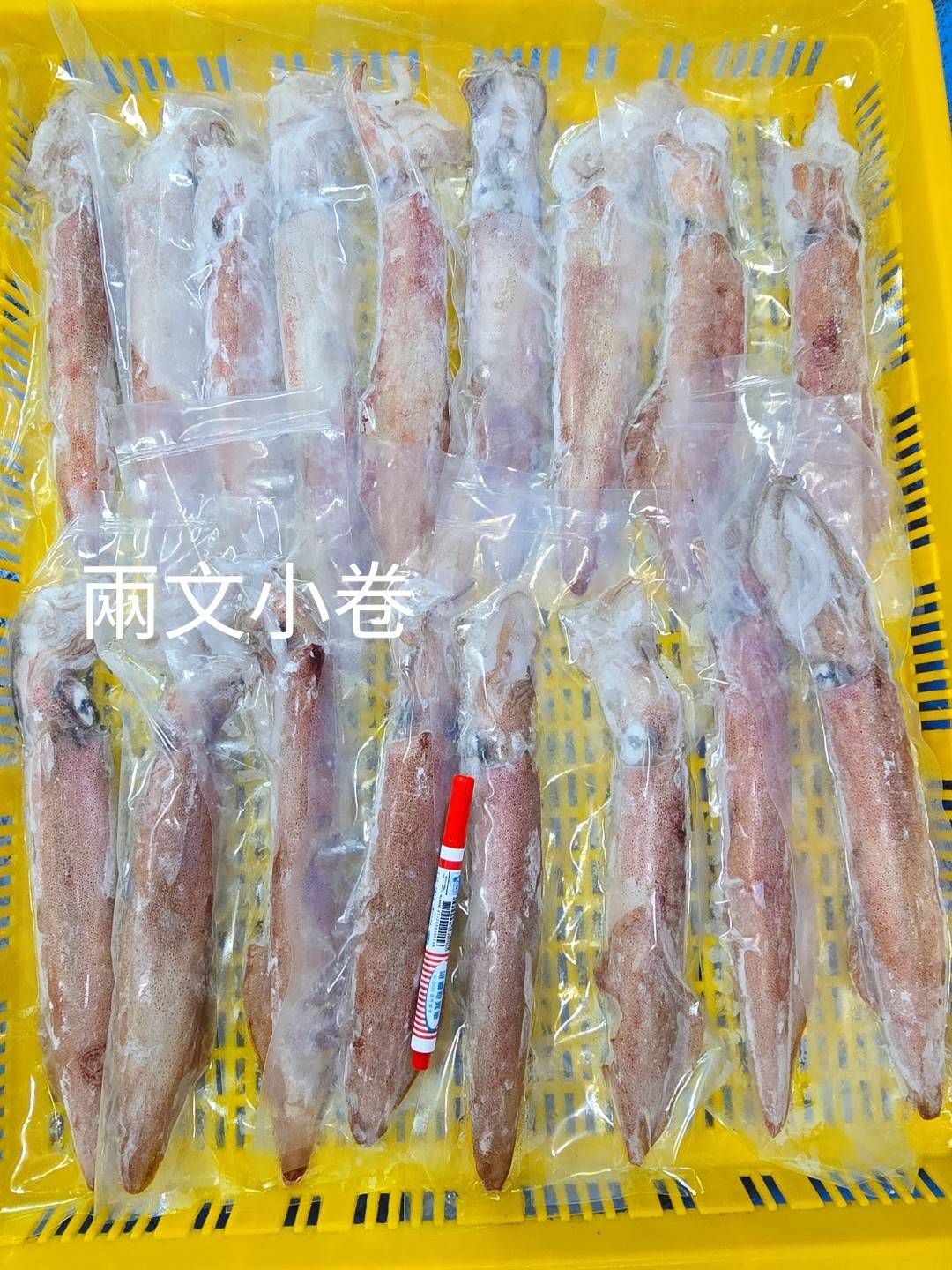 兩文卷/每組3公斤