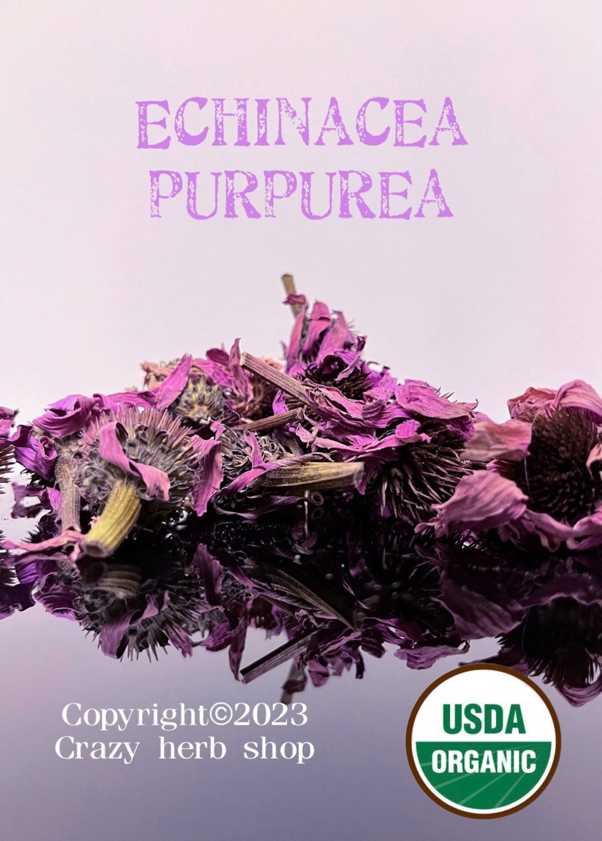 🌸 Echinacea 紫錐菊 薩滿療癒飲茶 薰香