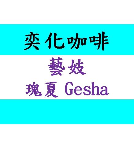 瑰夏/藝伎種 日曬 特殊發酵G1 2023/01 批次