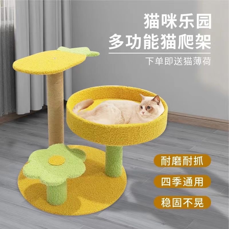 菠蘿跳台