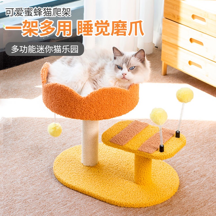 蜜蜂貓跳台