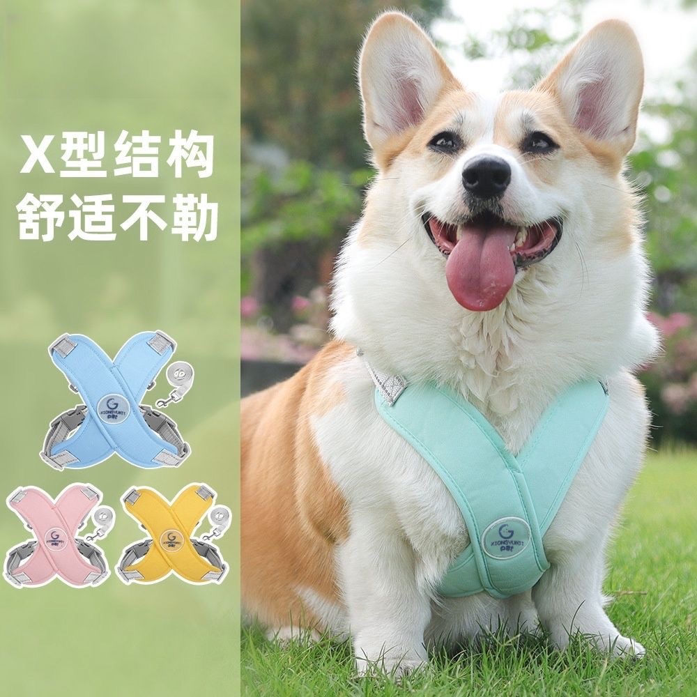 防暴衝胸背帶