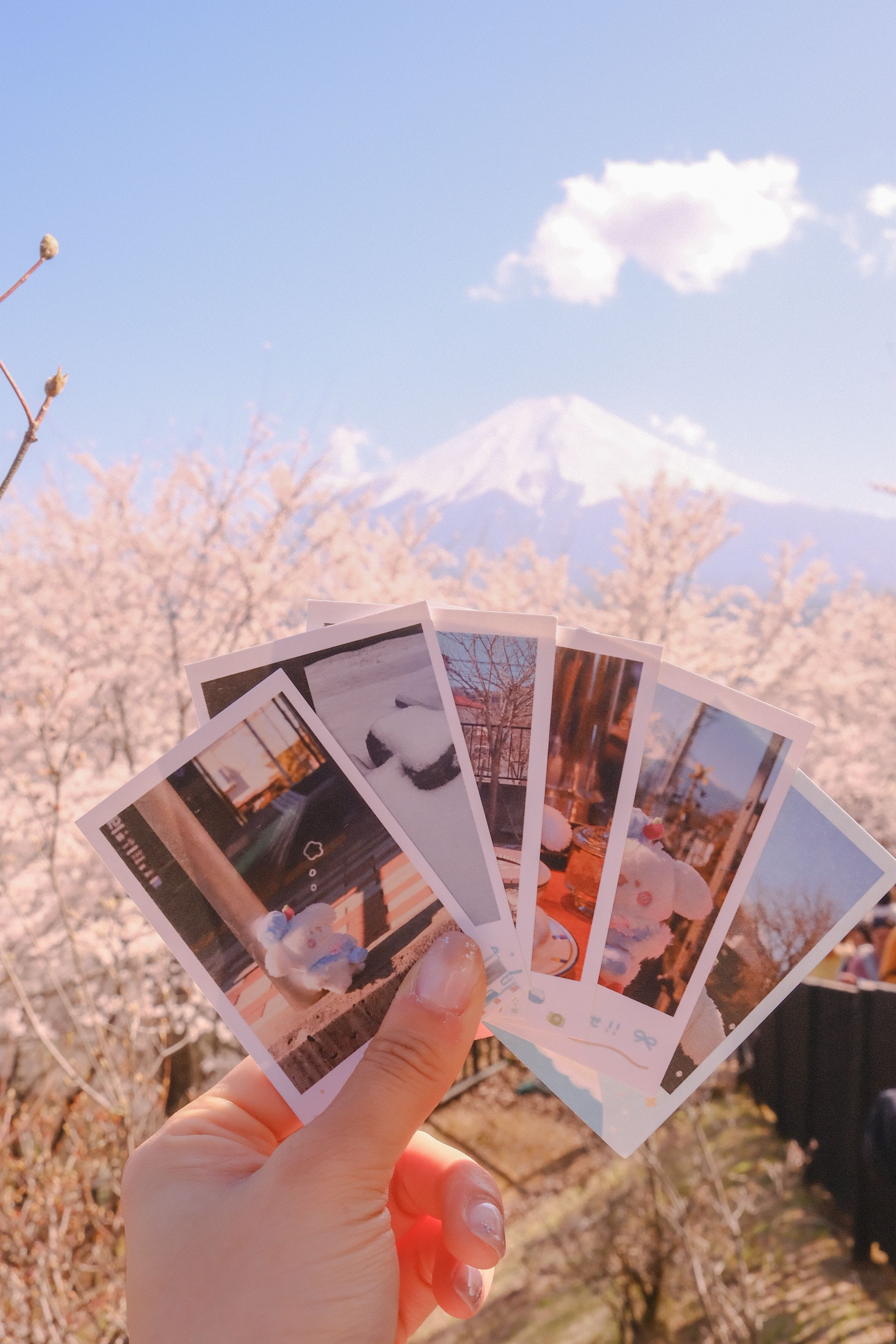 富士山垂耳兔周遊富士山拍立得小卡