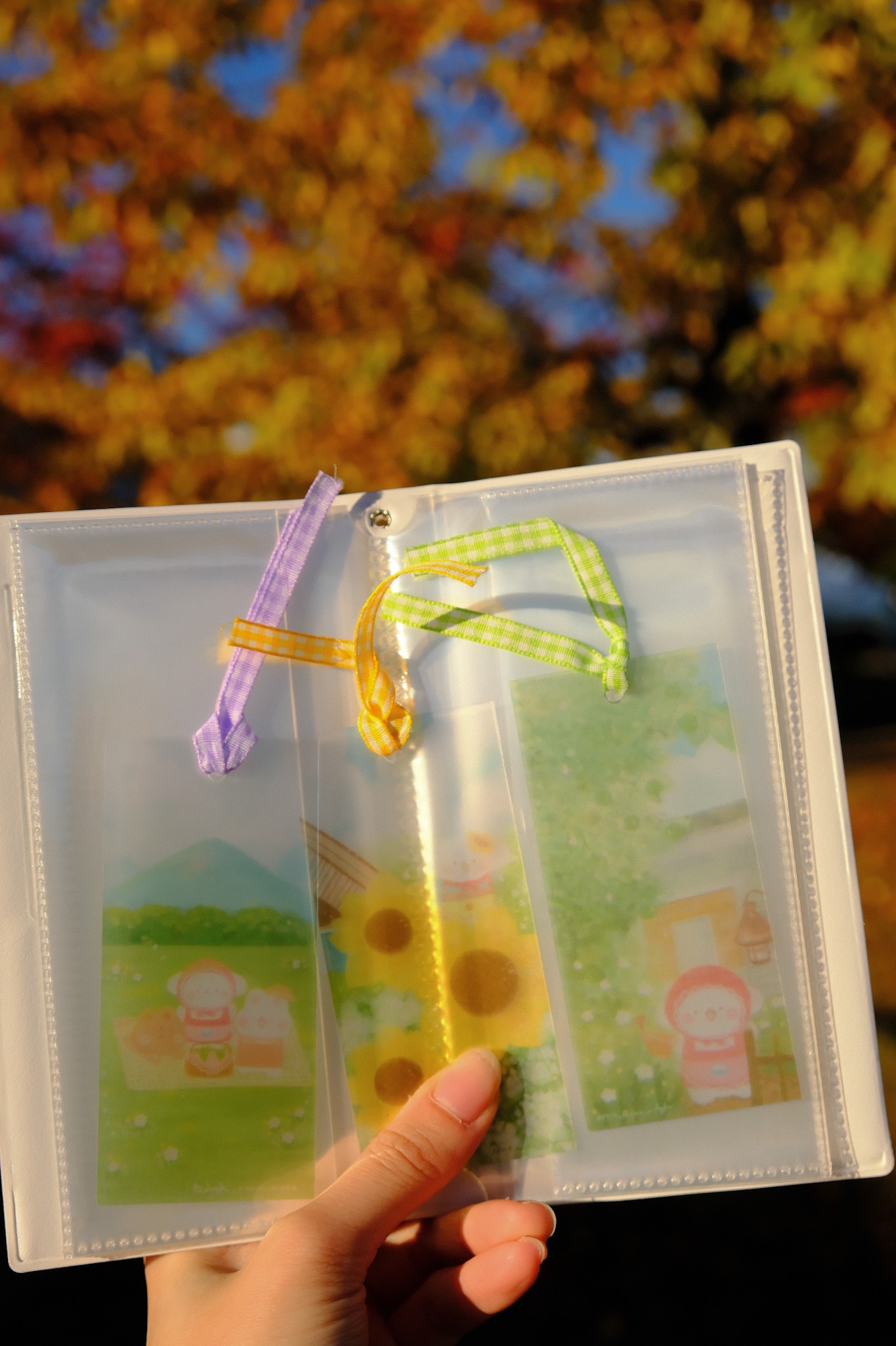 透霧緞帶透卡書籤（三款）