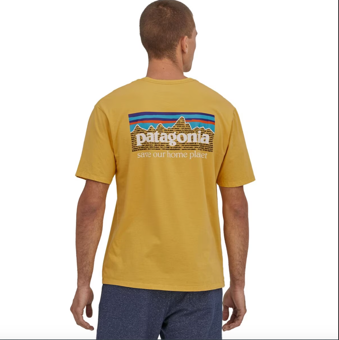 Patagonia 美國 P-6 Mission Organic T-Shirt 男款