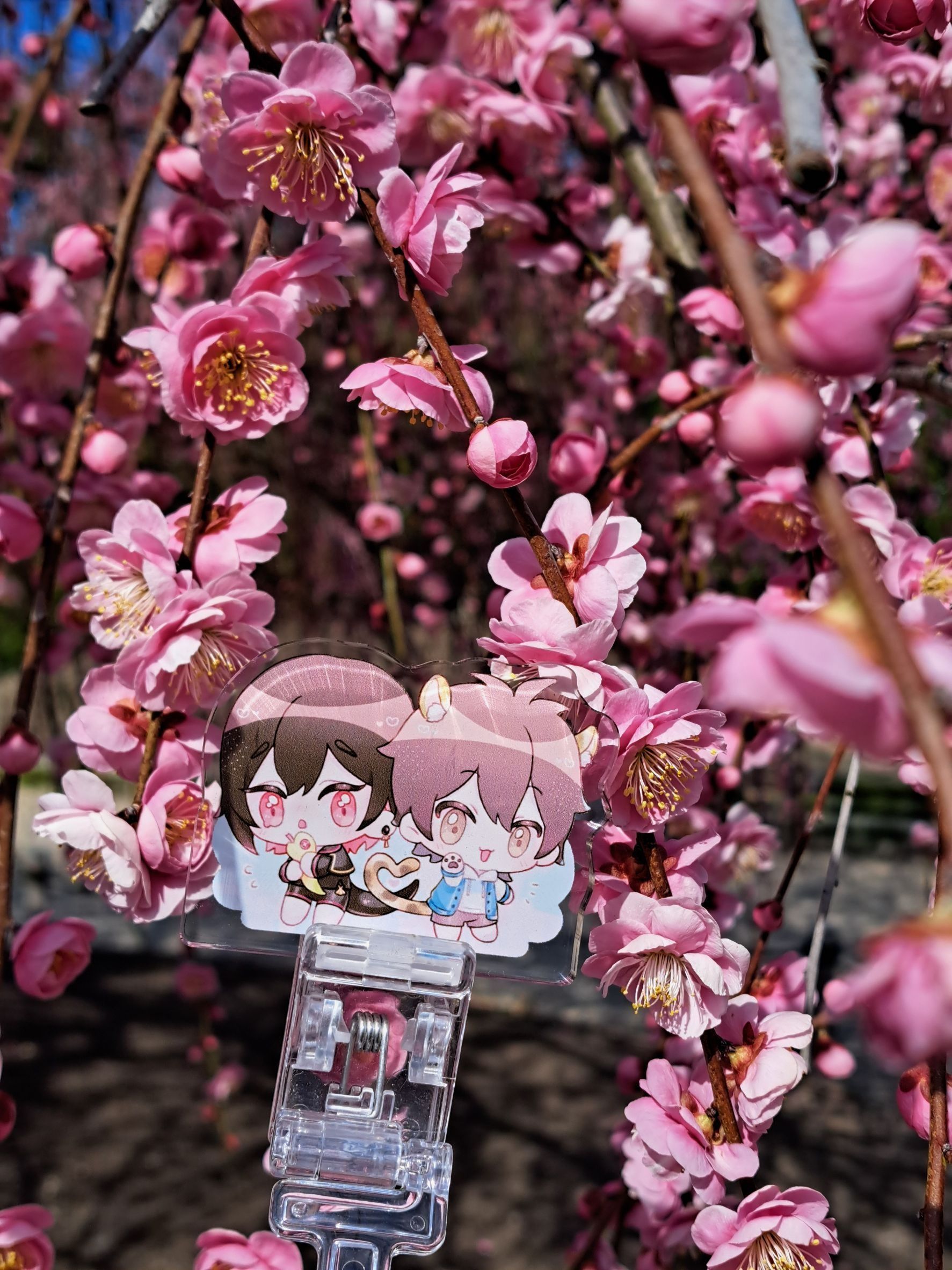 八巧巧＆伊咪咪♡特典飯友