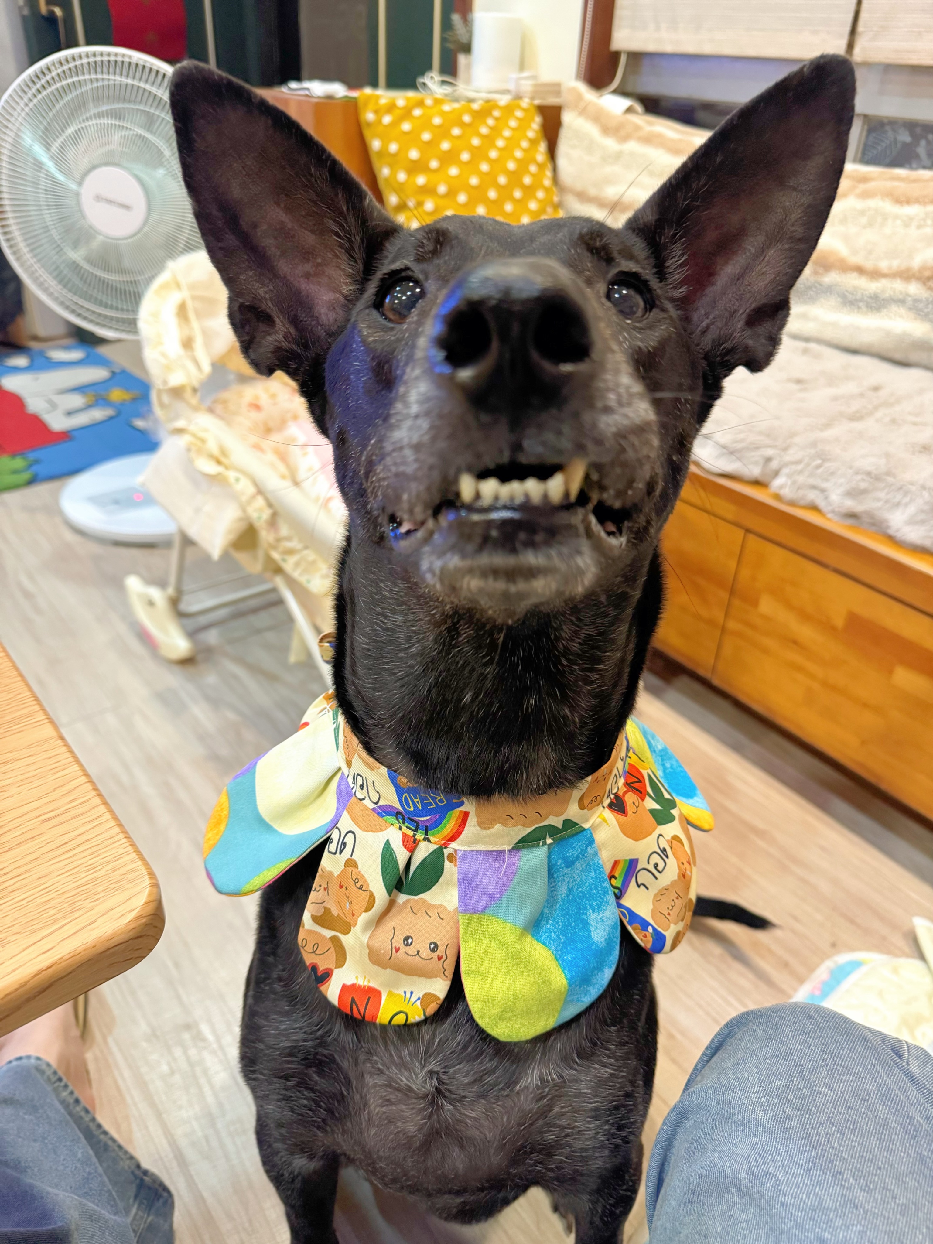 一朵大花花瓣領巾