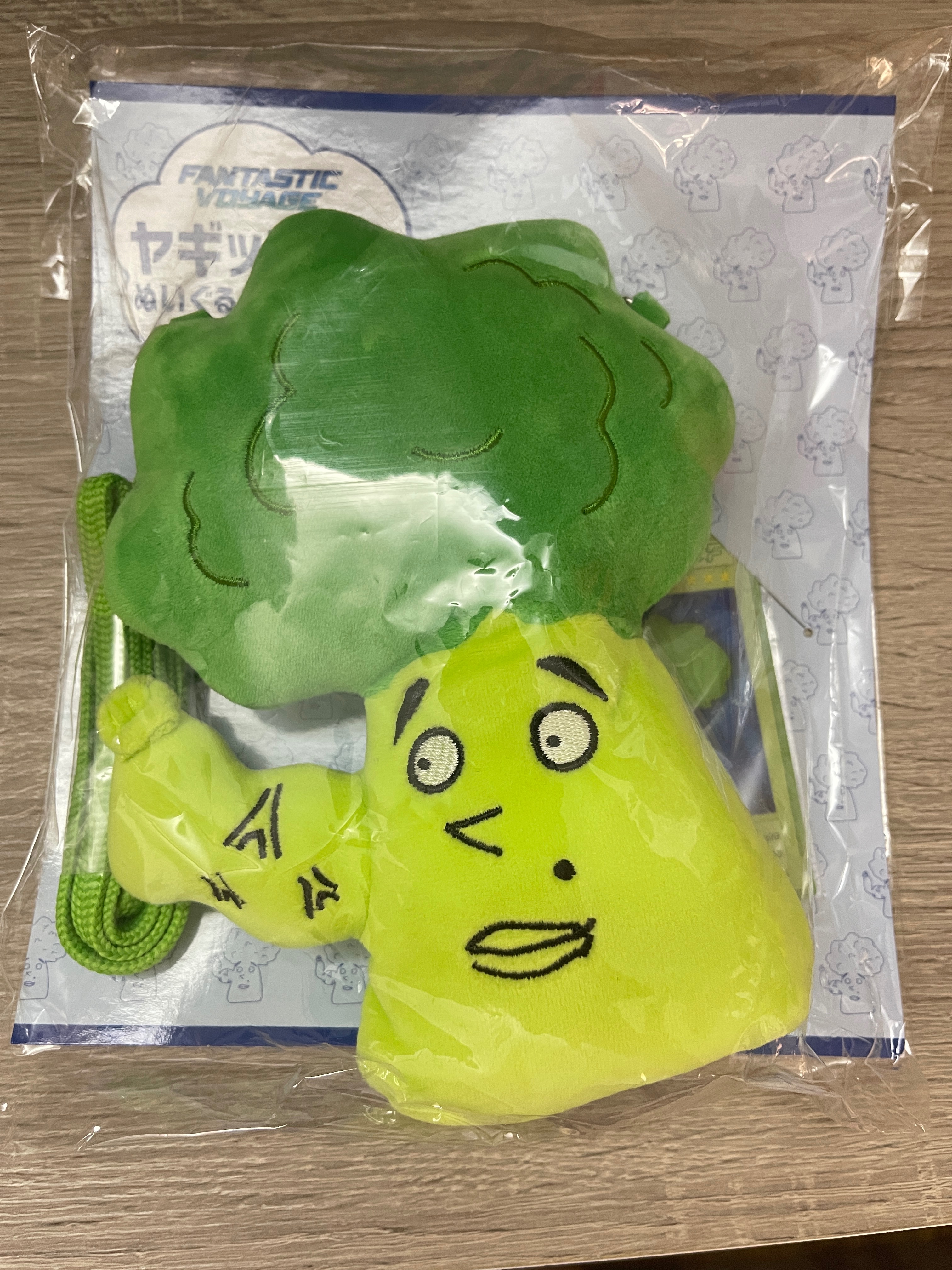 FANTASTICS 週邊：勇征 produce 花椰菜卡包