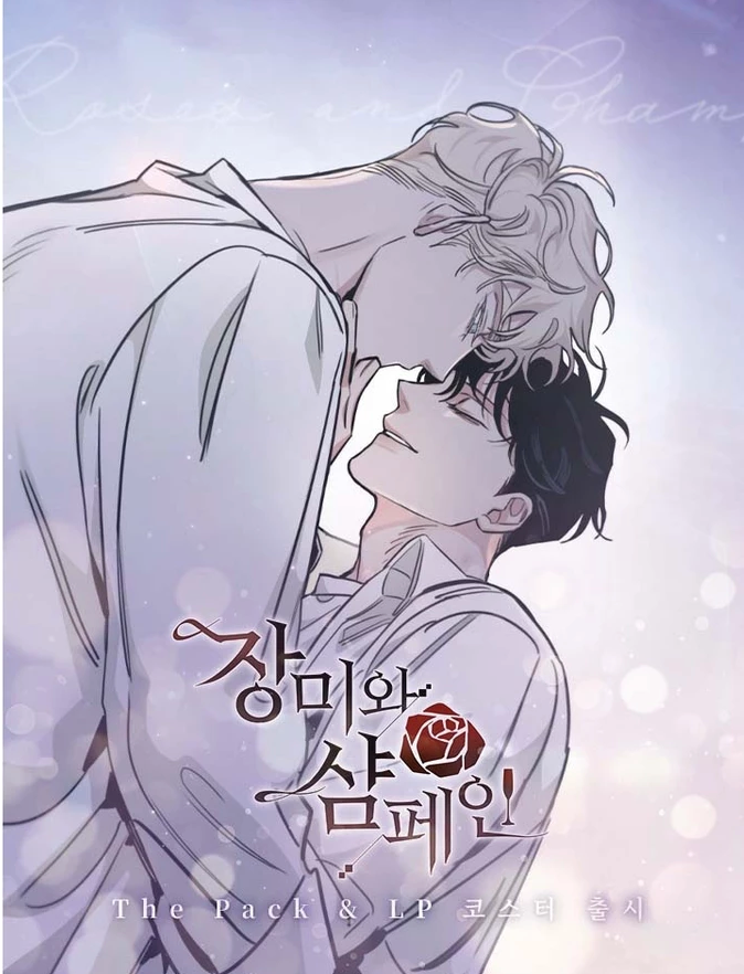 【現貨】薔薇與香檳 Rose and Champagne 장미와 샴페인