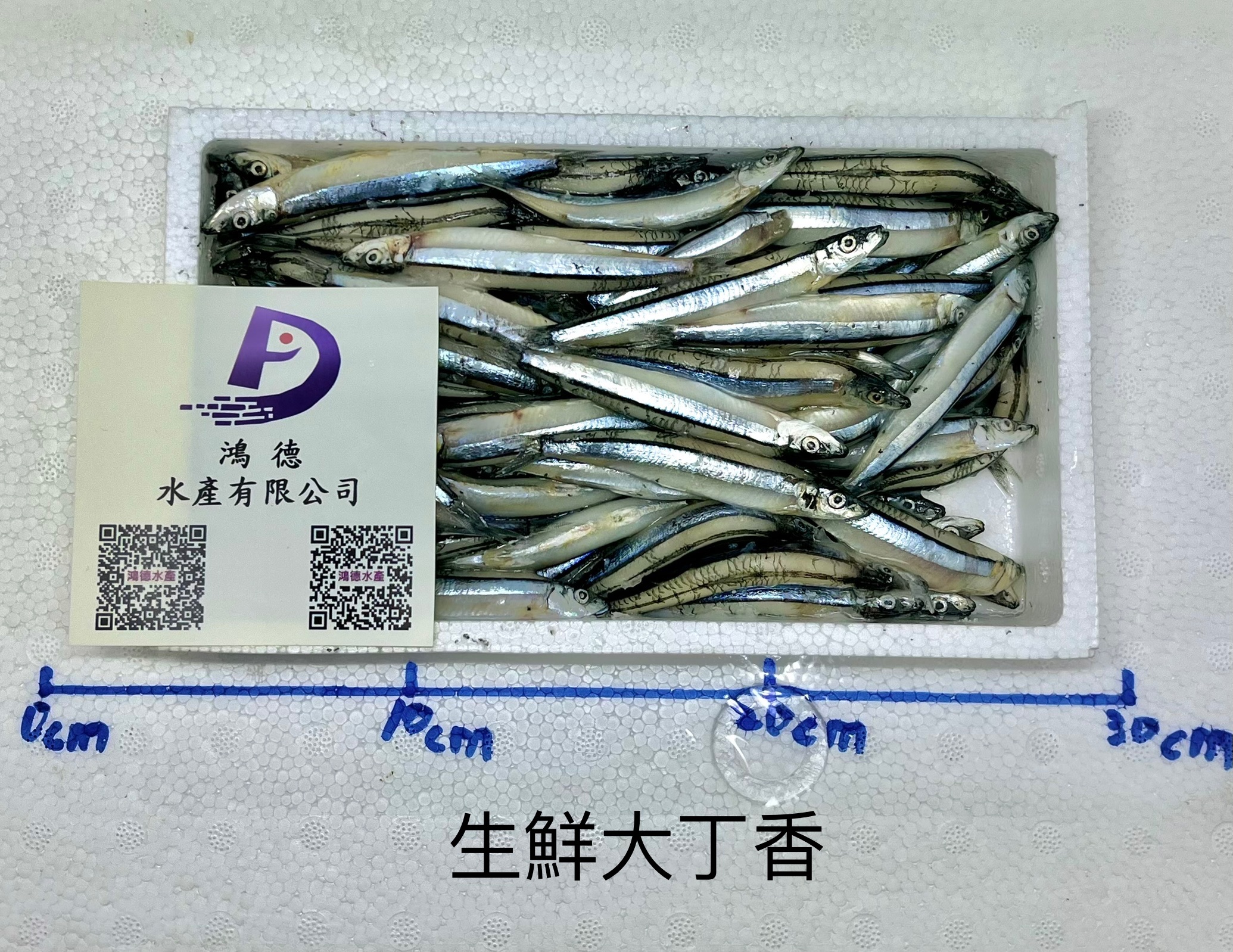 日本生鮮大丁香魚一盒只要200元-鴻德水產