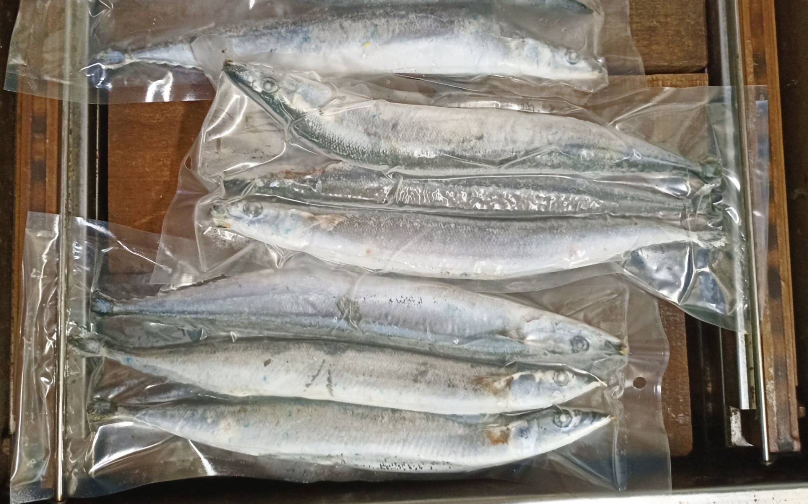 1號秋刀魚三隻一包只賣100元 鴻德水產 滿額免運