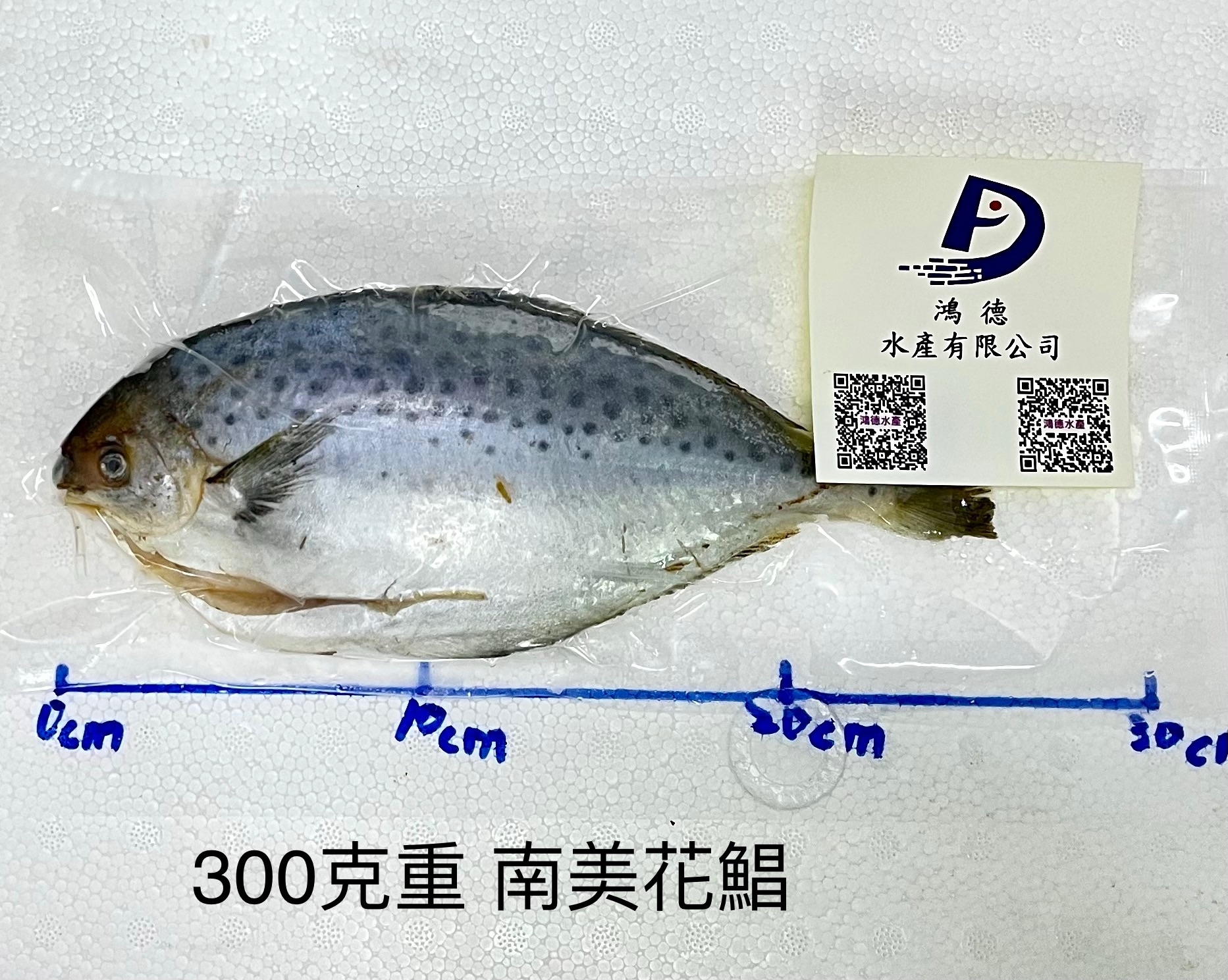 雪花鯧每公斤只要300元 鴻德水產 滿額免運