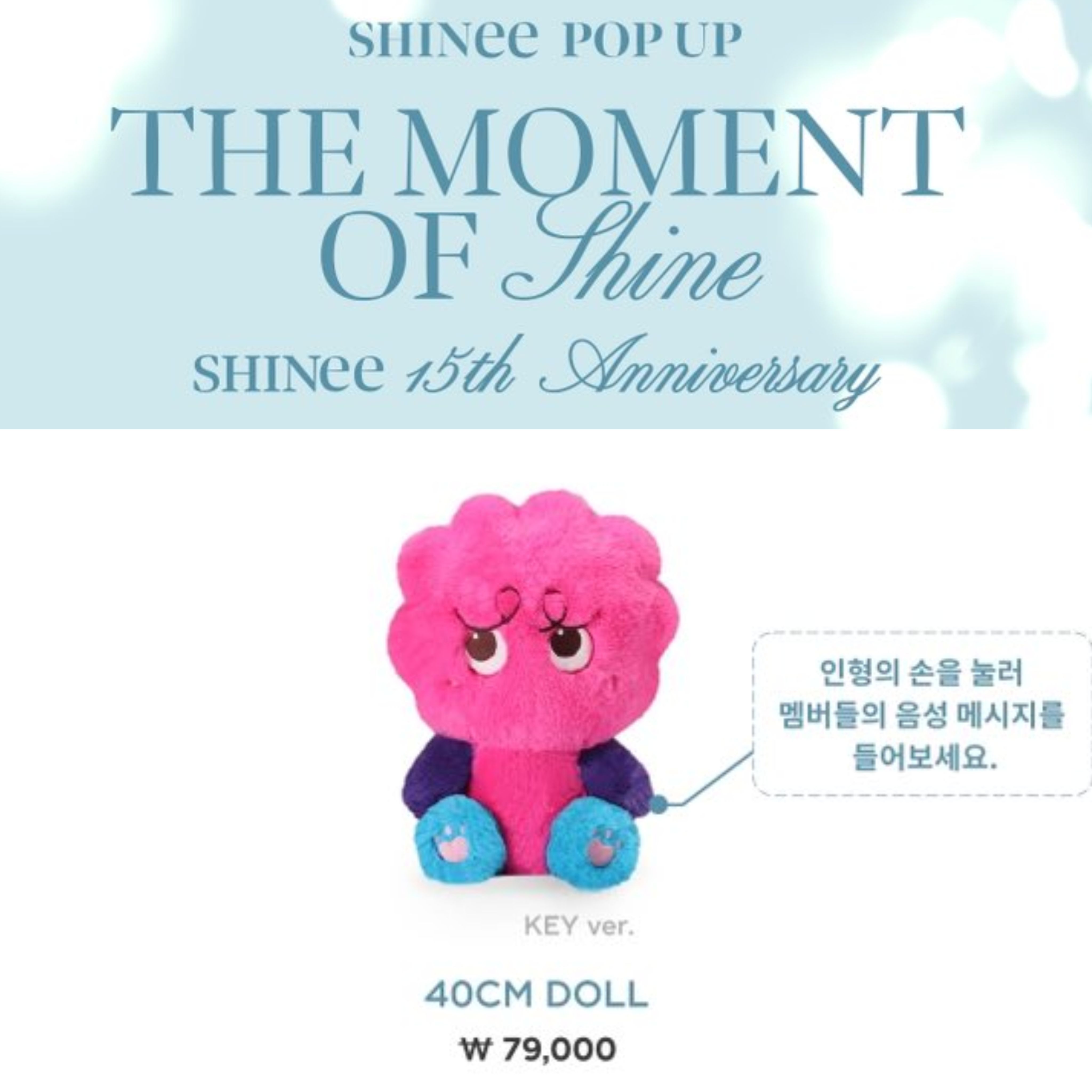 SHINee THE MOMENT OF Shine 40cm DOLL-