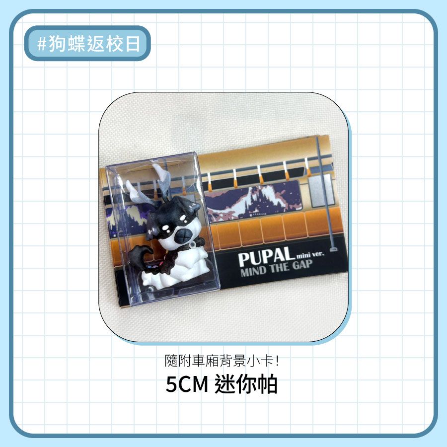 5CM迷你帕