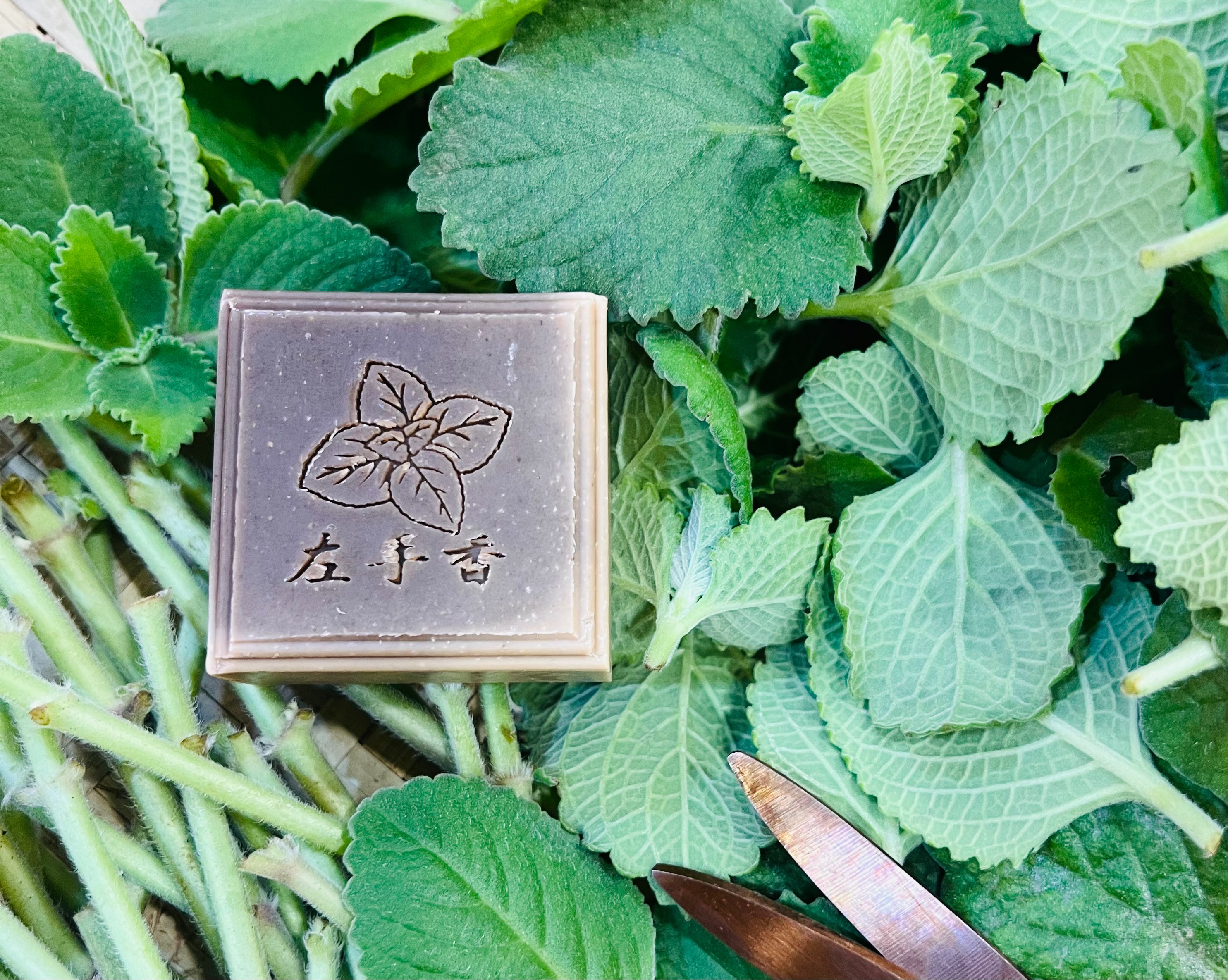 左手香精華皂｜1140811製