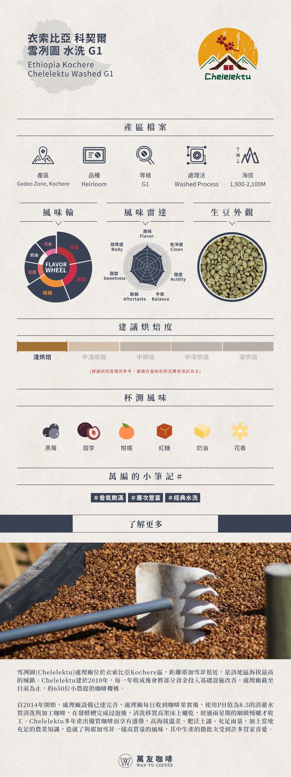衣索比亞 科契爾 雪冽圖 水洗 G1