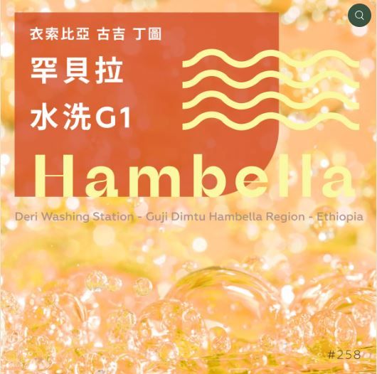 衣索比亞 古吉 丁圖 罕貝拉 G1 水洗