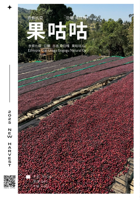 衣索比亞 日曬 古吉 烏拉嘎 果咕咕 G1