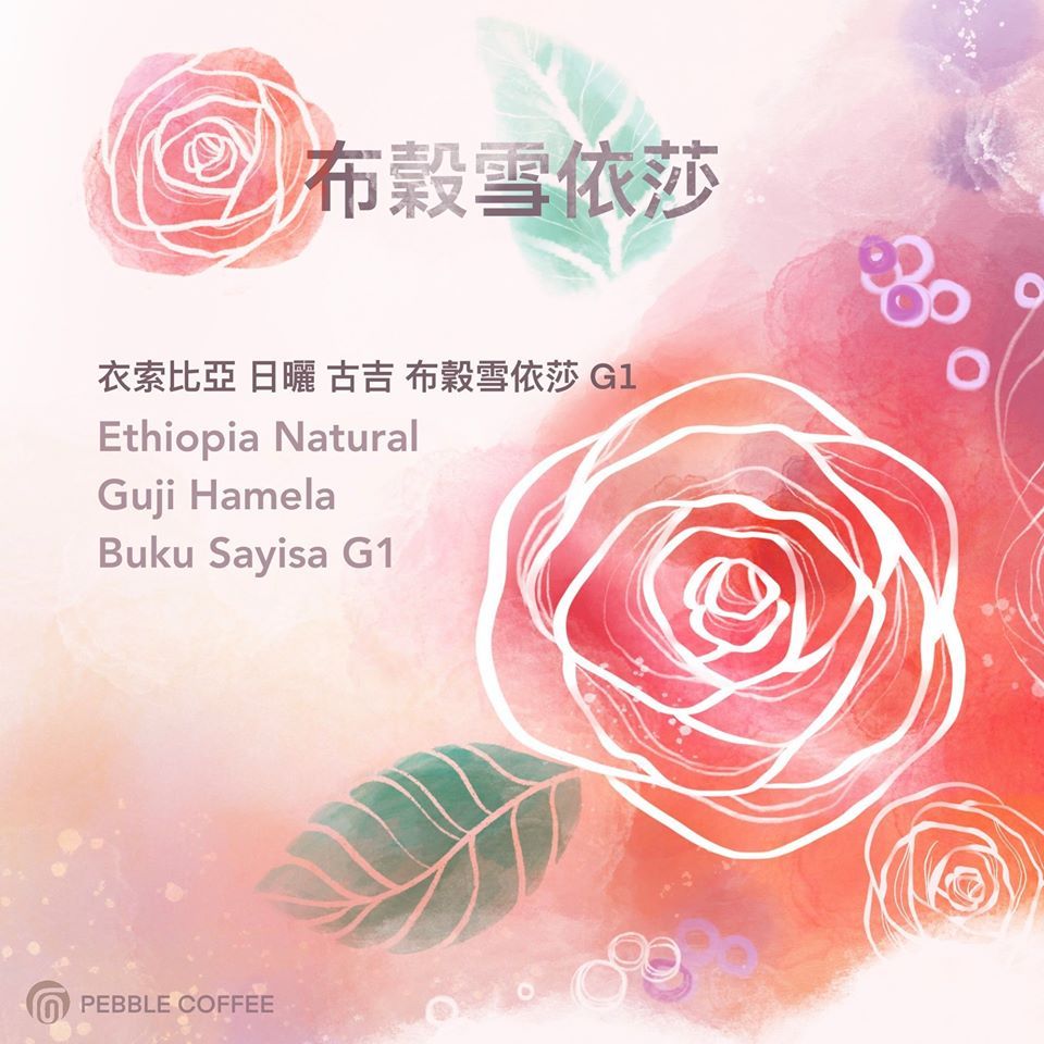 衣索比亞 日曬 古吉 罕貝拉 布穀雪依莎G1