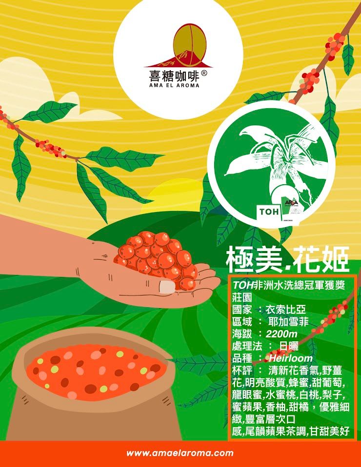 衣索比亞 耶加雪菲 極美.花姬 日曬