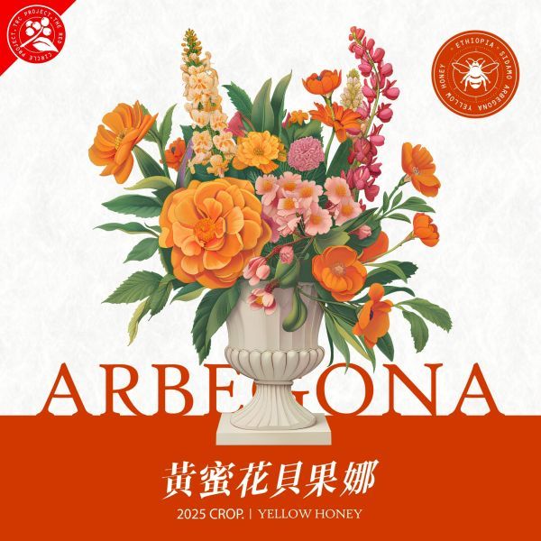 2025 衣索比亞 紅圈計畫 西達摩 黃蜜花貝果娜