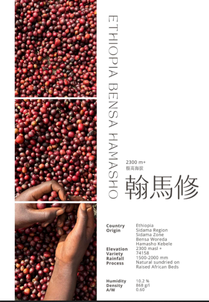 衣索比亞 日曬 西達馬 班莎 翰馬修村 G1