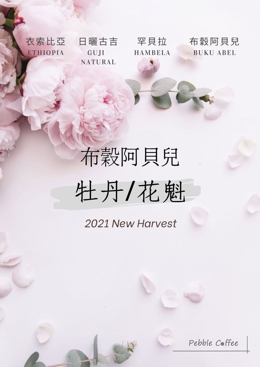 2025衣索比亞 日曬 古吉 罕貝拉 布穀阿貝兒 G1