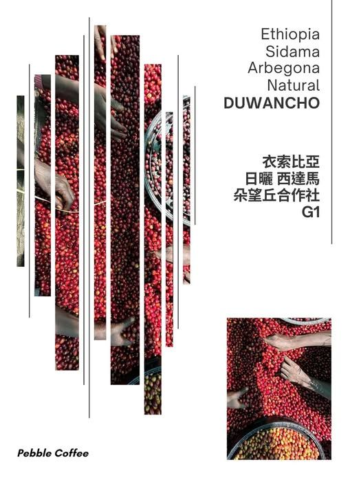 衣索比亞 西達馬 阿貝果那鎮 朵望丘合作社 日曬 G1