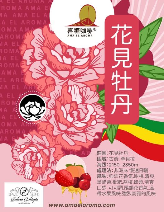 衣索比亞 谷吉 罕貝拉 花見牡丹 非洲床日曬