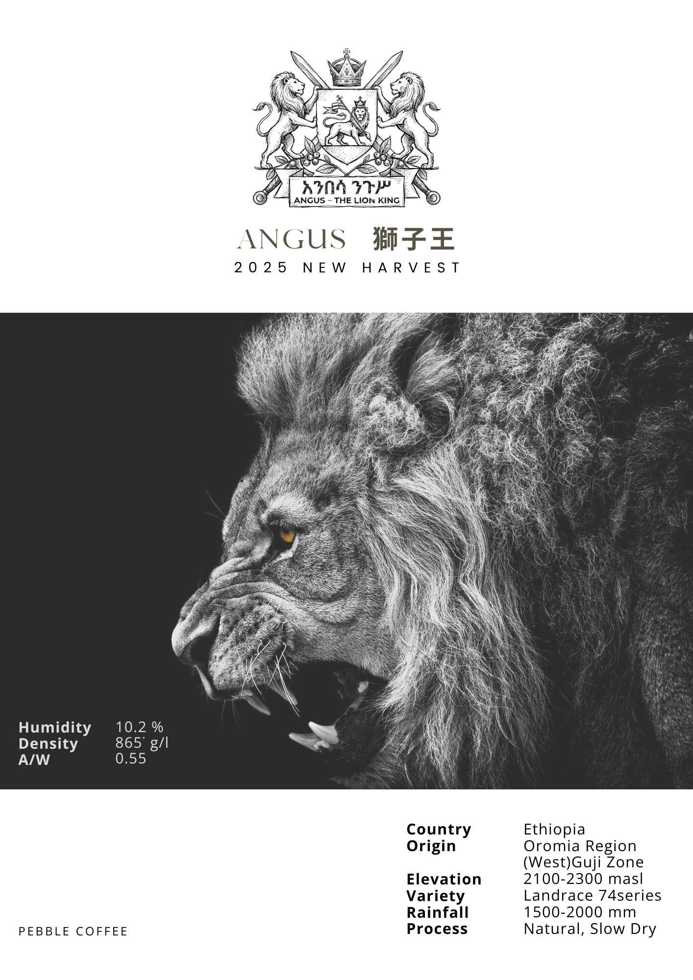 衣索比亞 古吉 安格斯獅子王 日曬處理 25/01批次 G1