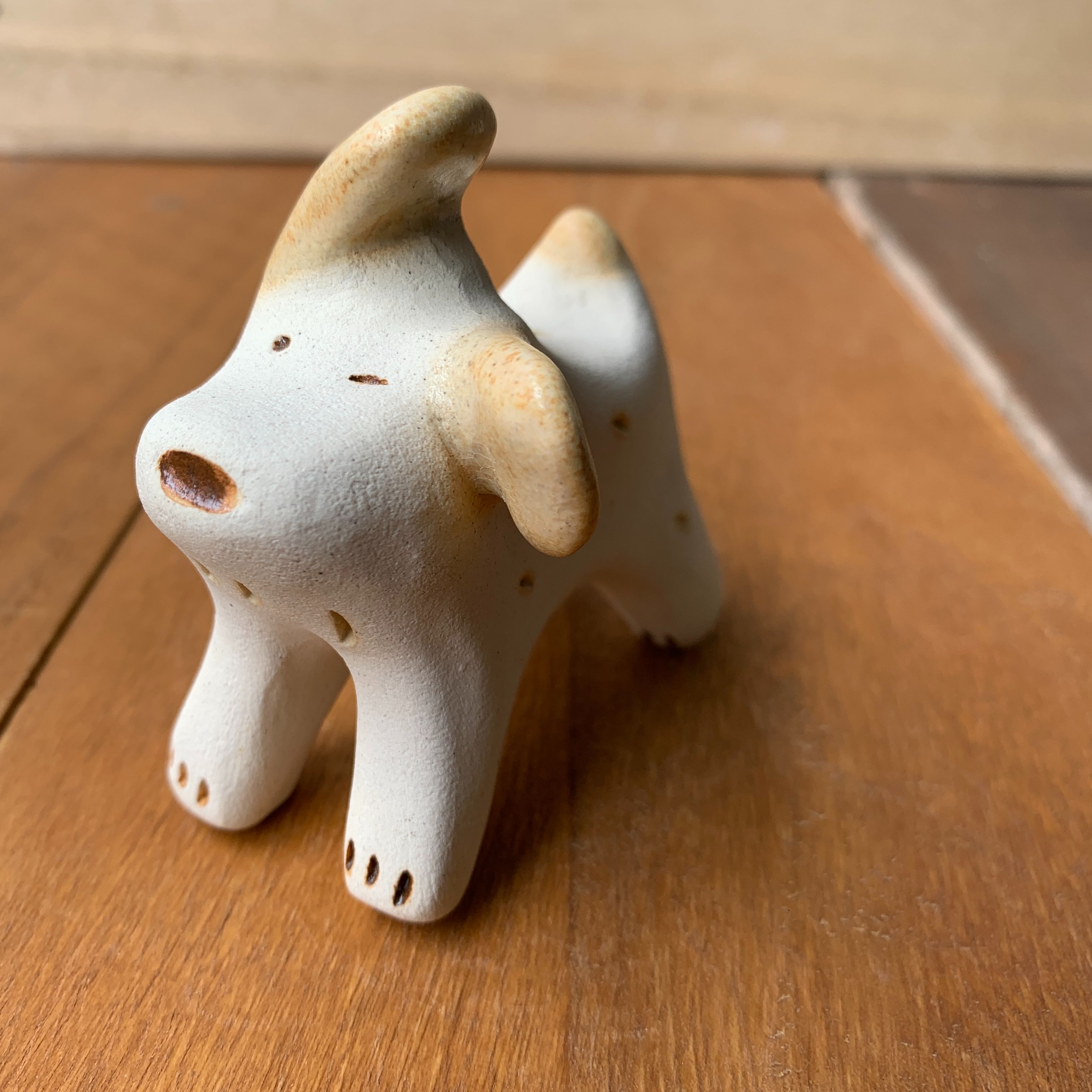 小犬-奶油色耳朵
