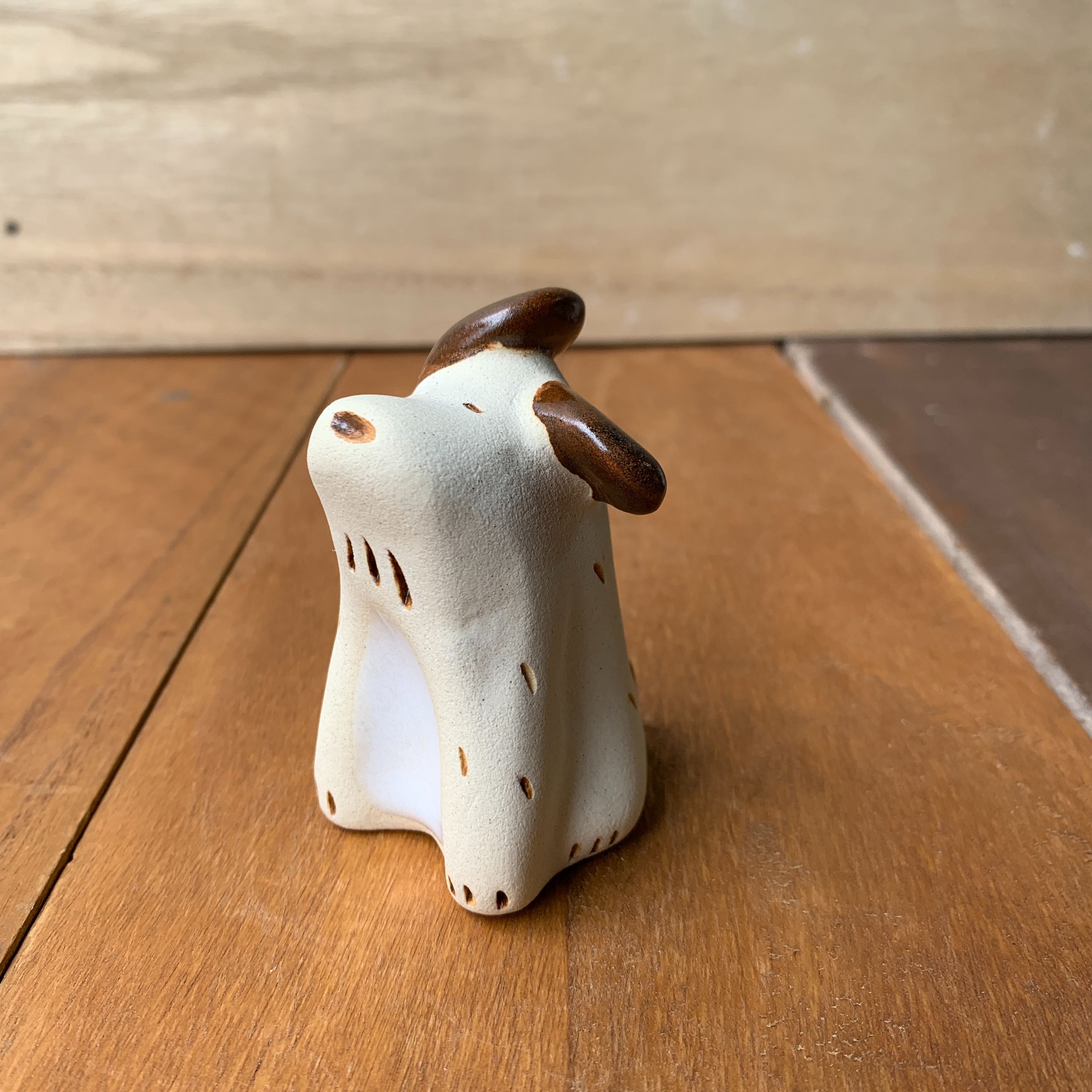 小犬-咖啡耳朵坐著吹風