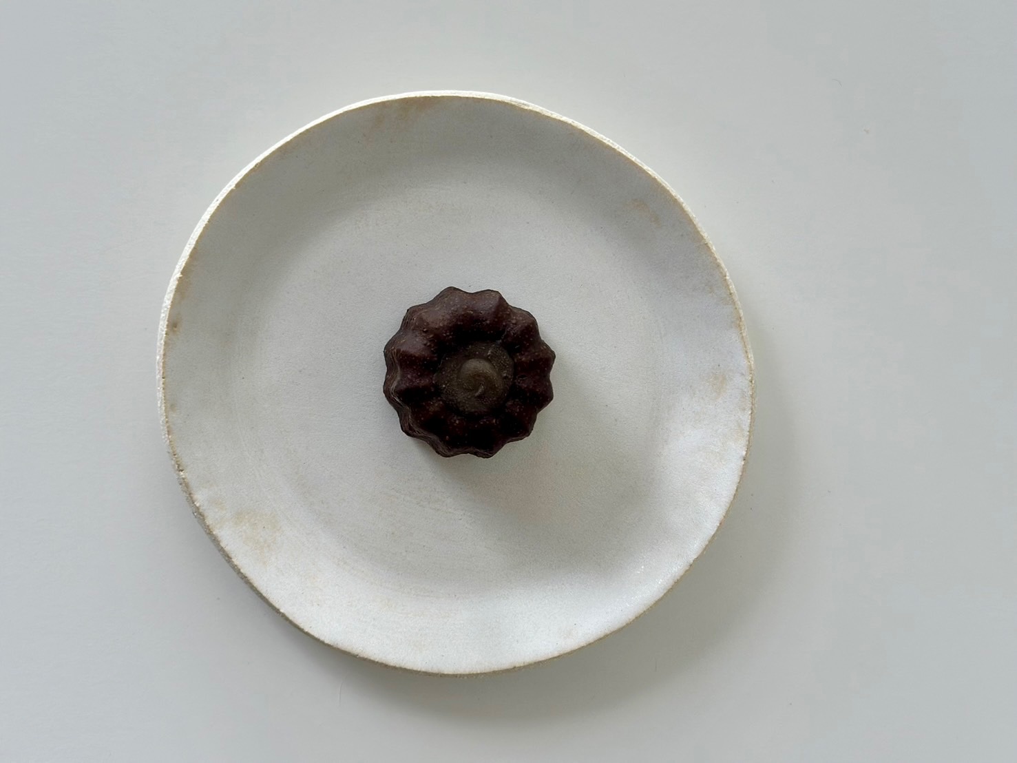 烏龍茶可麗露