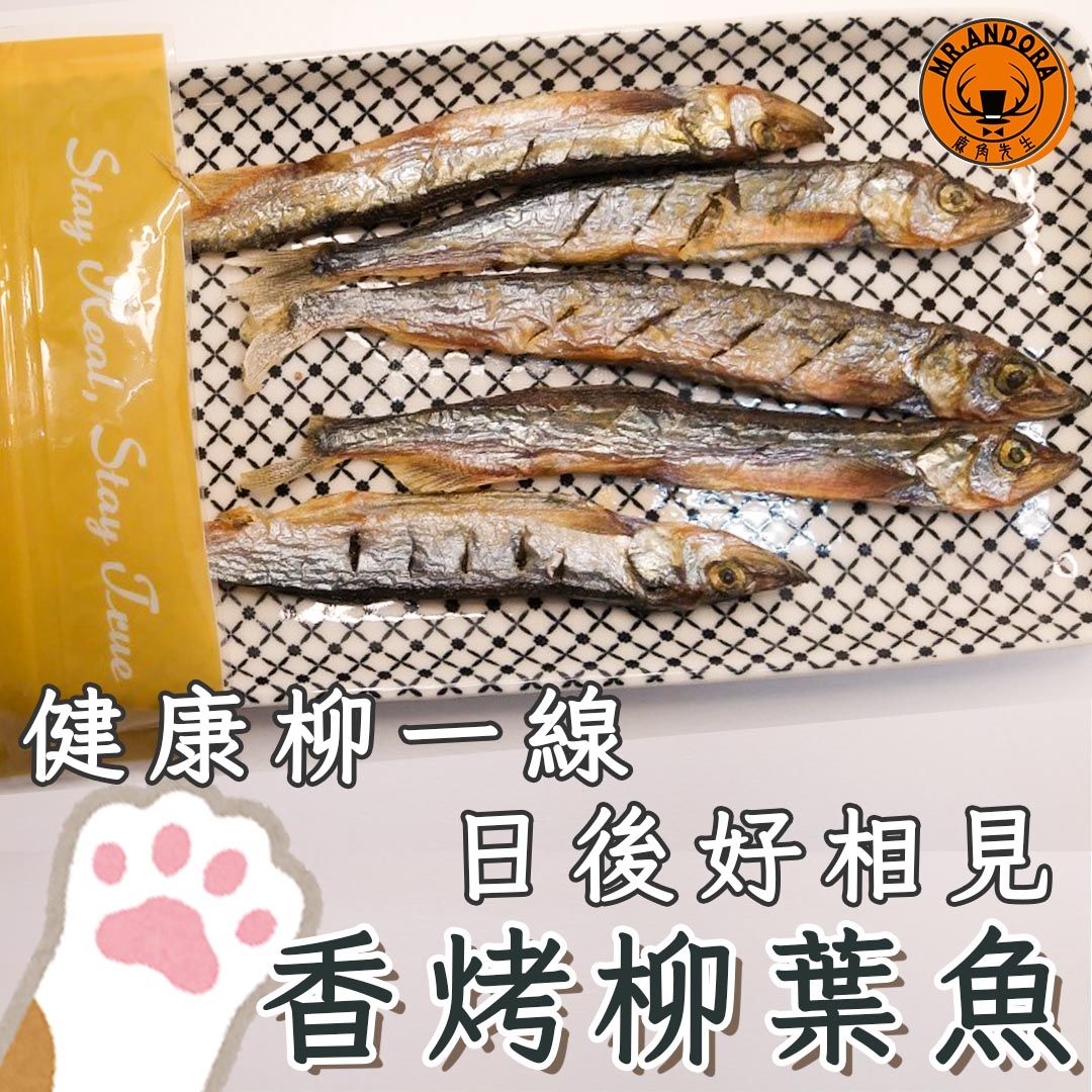 買十送一 手作保健柳葉魚條｜寵物零食｜寵物肉乾｜寵物手作零食｜貓零食｜狗零食｜貓肉乾｜狗肉乾｜寵物魚乾｜天然寵物零食