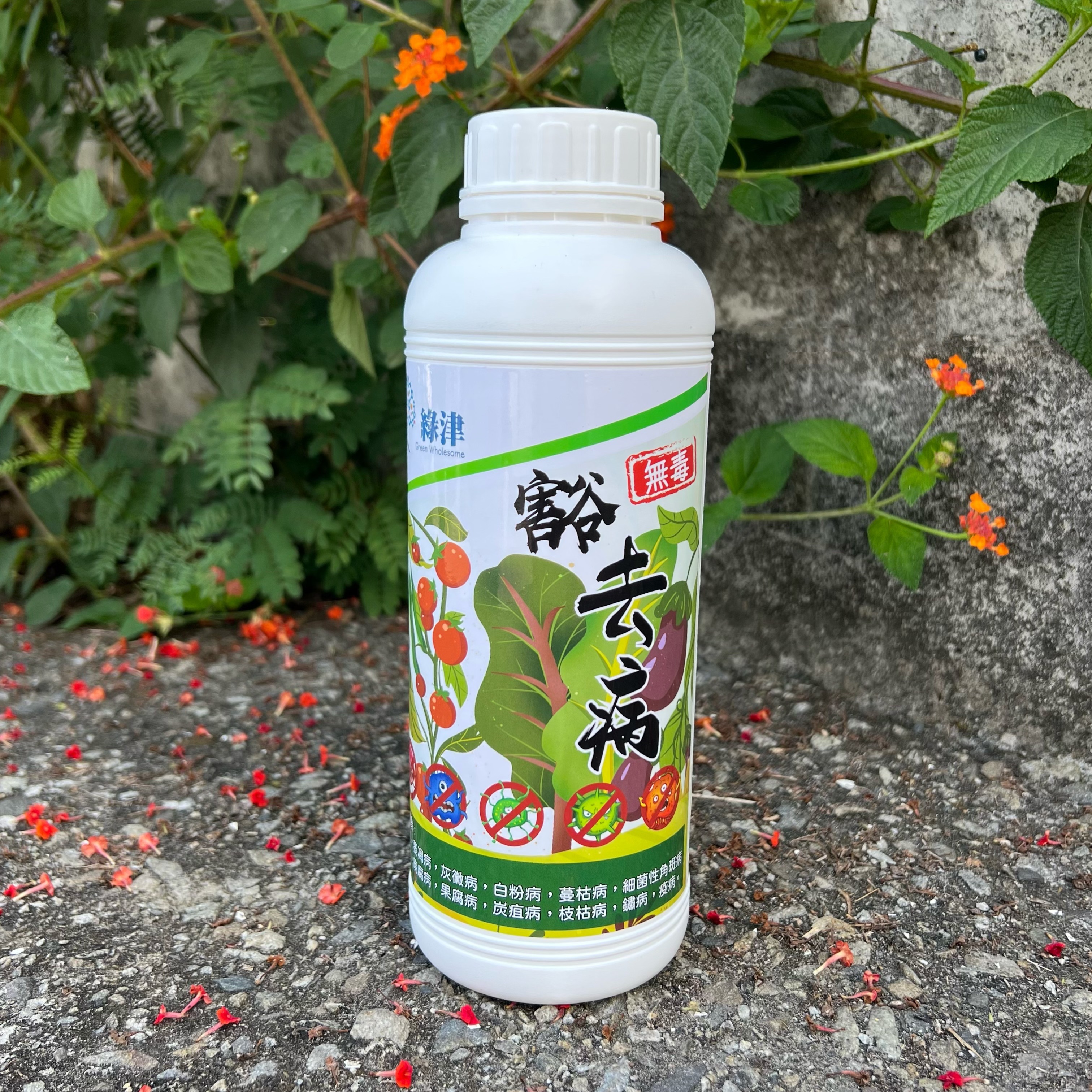 【豁去病】無毒殺菌劑 白粉病 露菌病 炭疽病