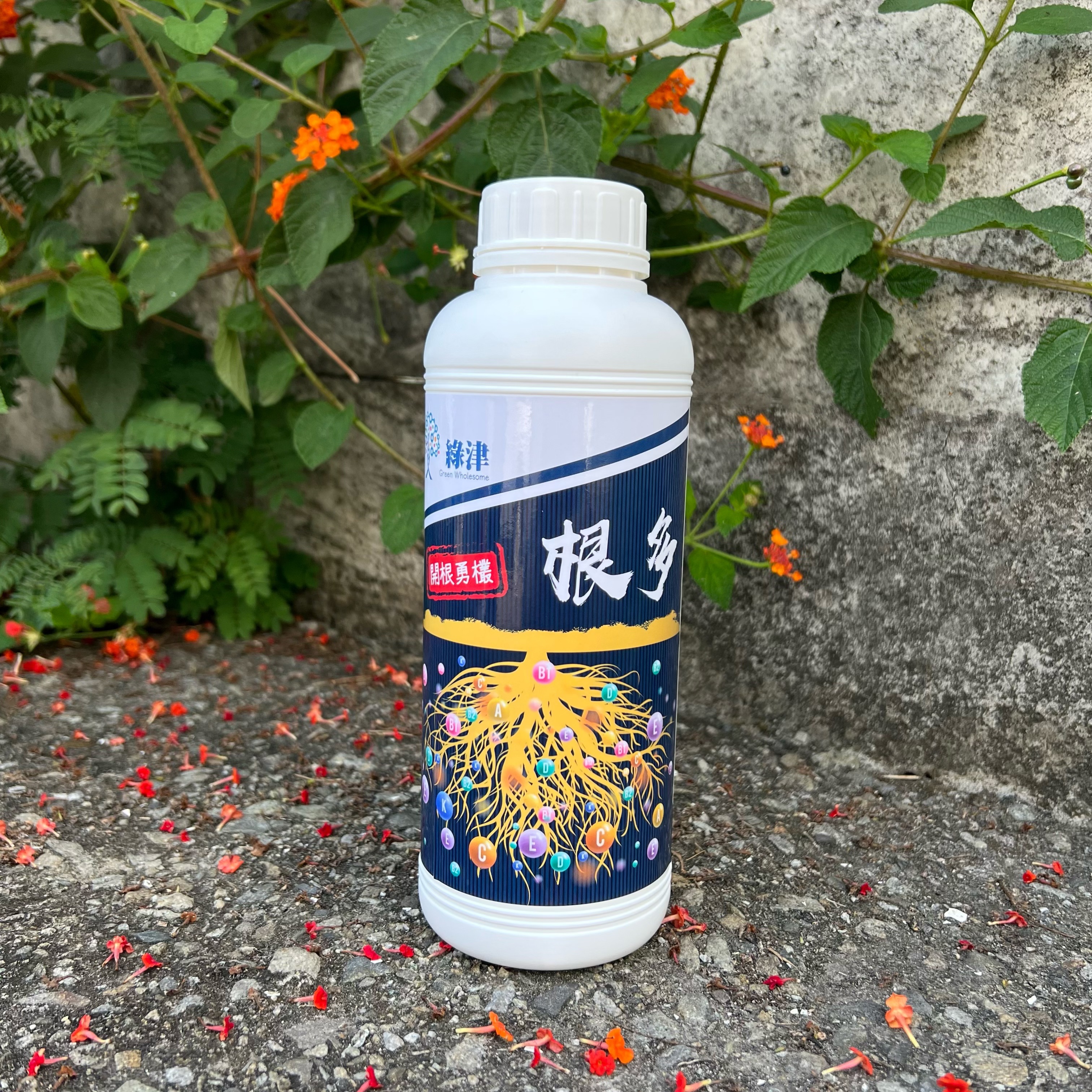 【根多】 開根勇欉 生根旺根固根