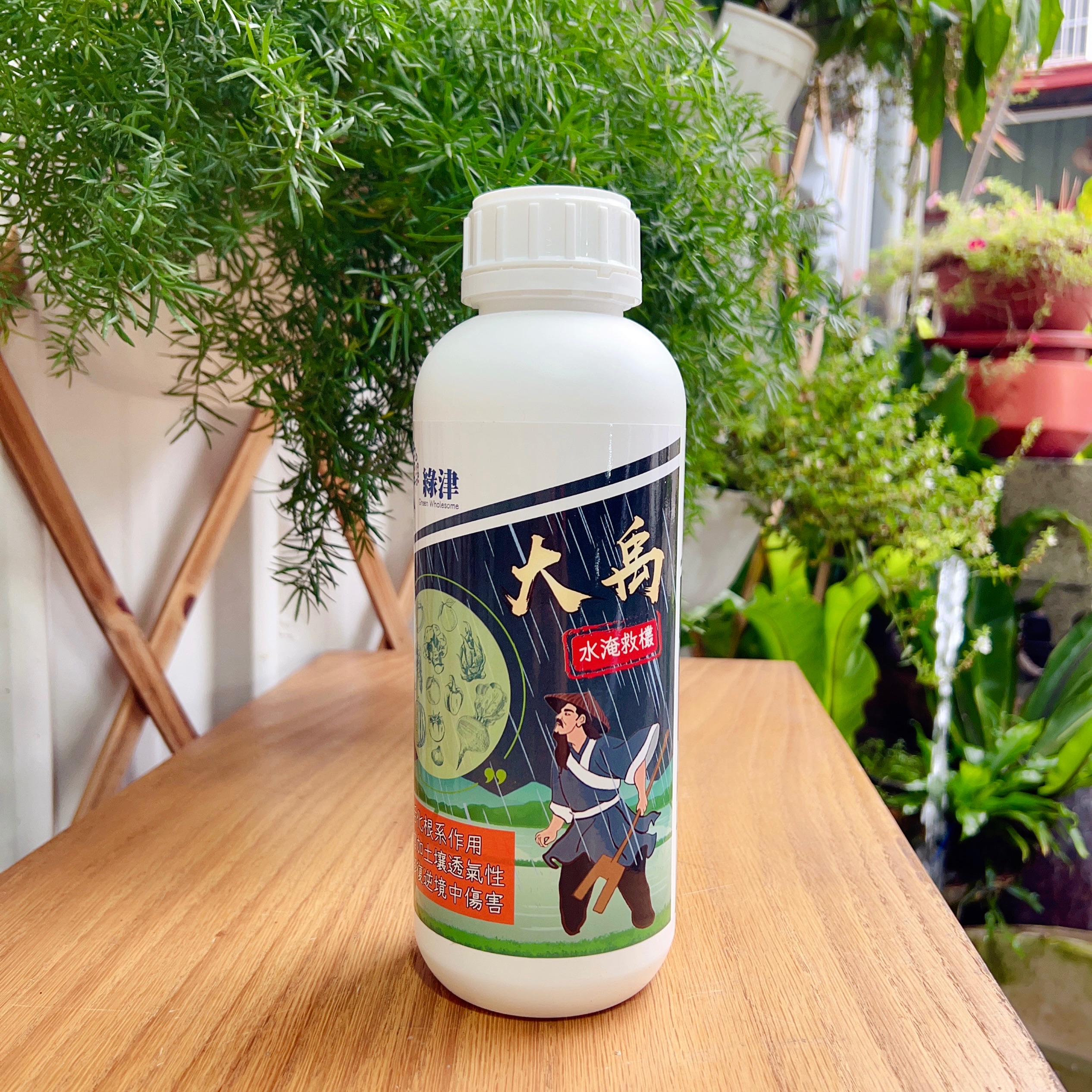 【大禹】雨後救欉