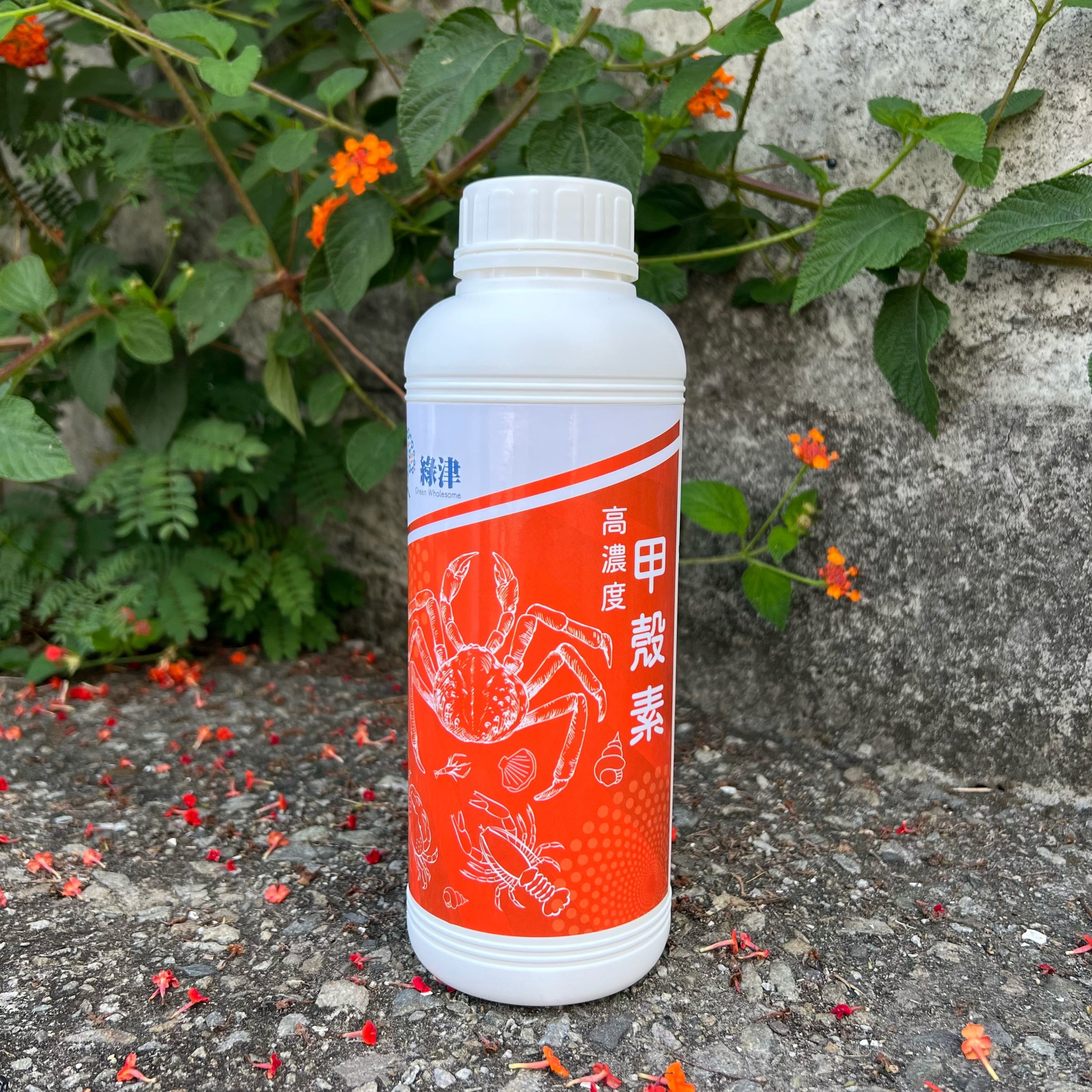 【甲殼素】5%高濃度 殼寡糖等級（甲殼素中最高等級）