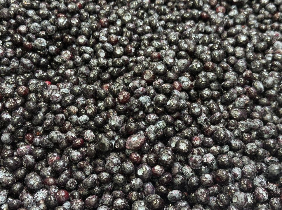 加拿大 冷凍 野生藍莓 1kg 天時莓果 藍莓 IQF冷凍技術 wild blueberry 無糖