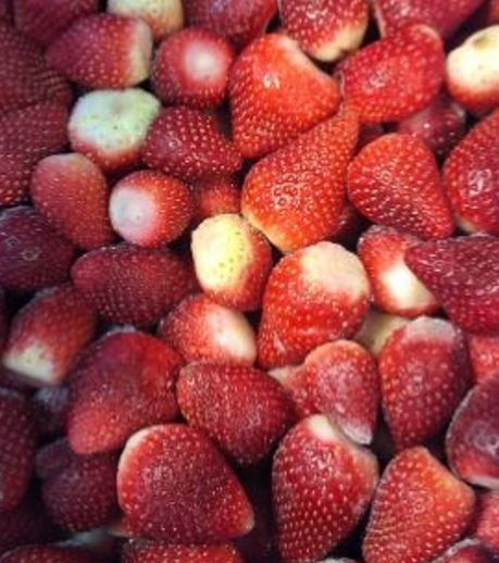 冷凍草莓 天時莓果 埃及 草莓 FROZEN STRAWBERRY 無糖 無添加 IQF冷凍技術