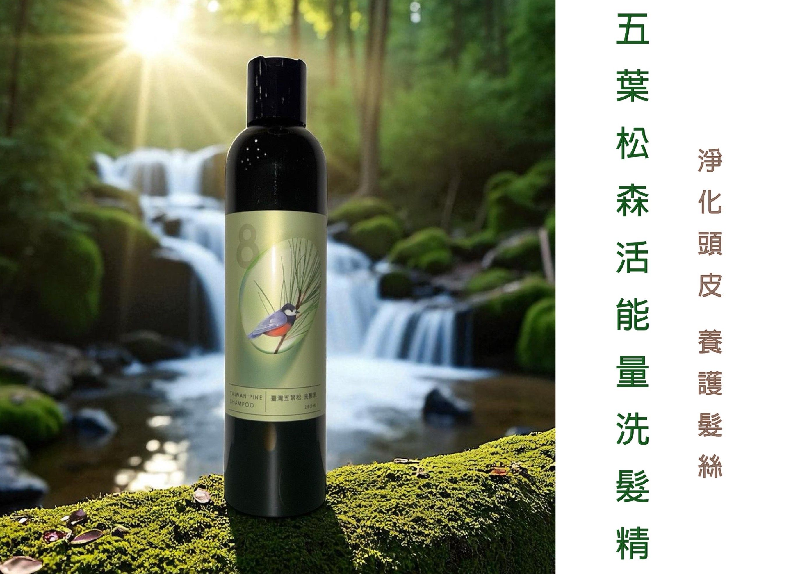 五葉松能量洗髮精-淨化頭皮-養護髮絲-台八線森林療癒