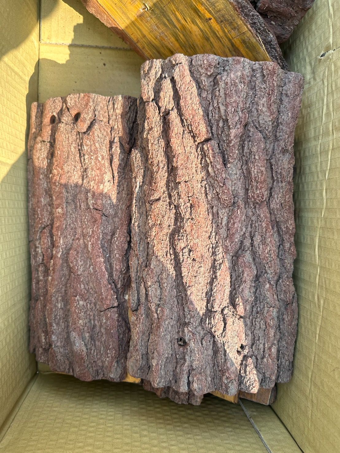 6吋樹皮板 （鹿角蕨專用，有打洞可穿鋁線，照片僅供參考，實際出貨時，木紋顏色會有差異）