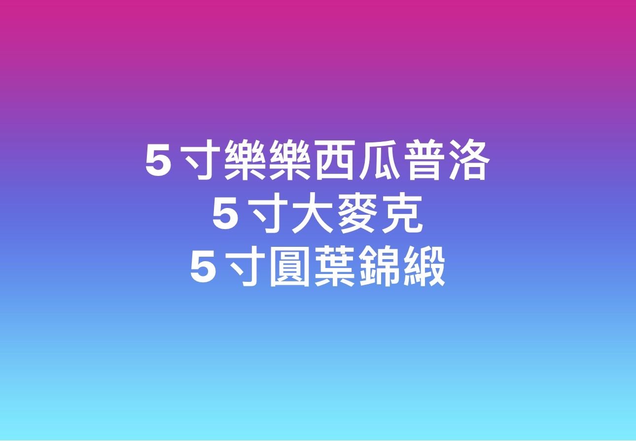 5寸大麥克 ＆ 5寸圓柄錦緞 （圓葉）