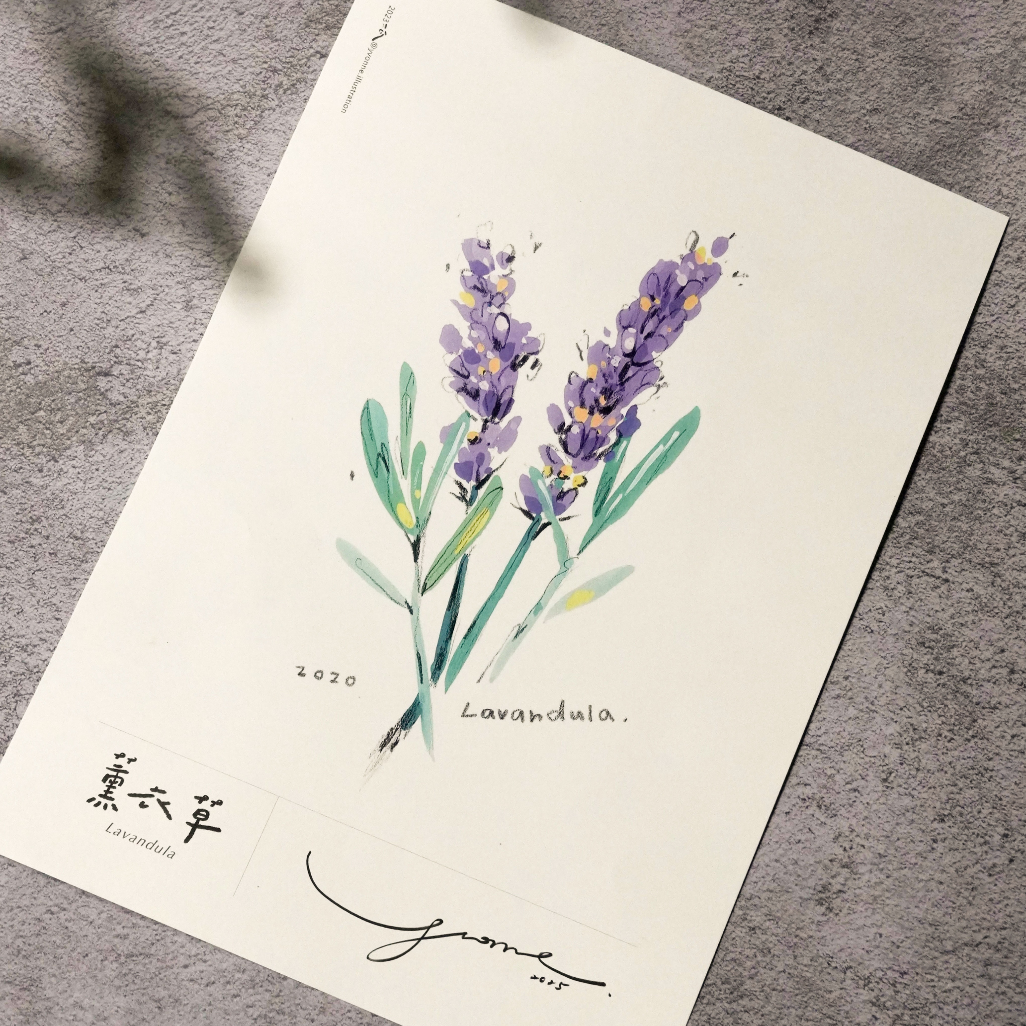 花語海報A3
