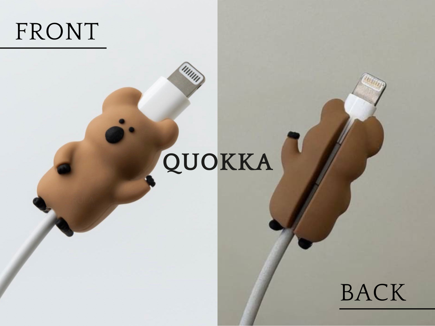 正韓代購Dinotaeng專區