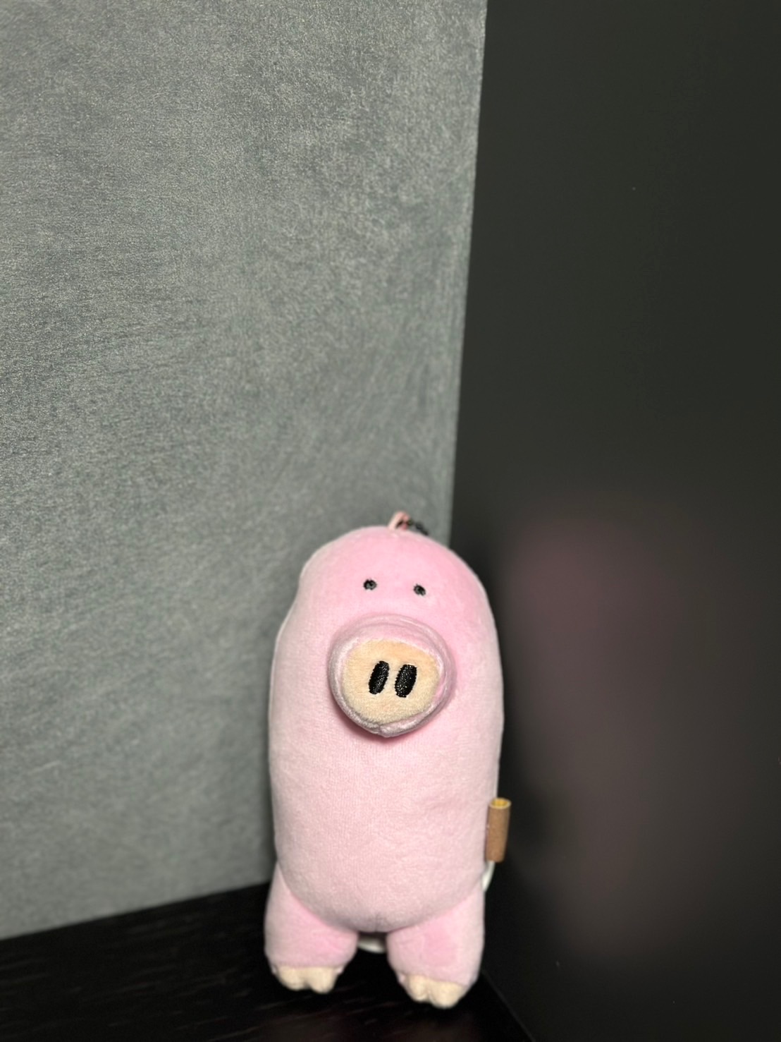 #日本代購 吉伊卡哇系列