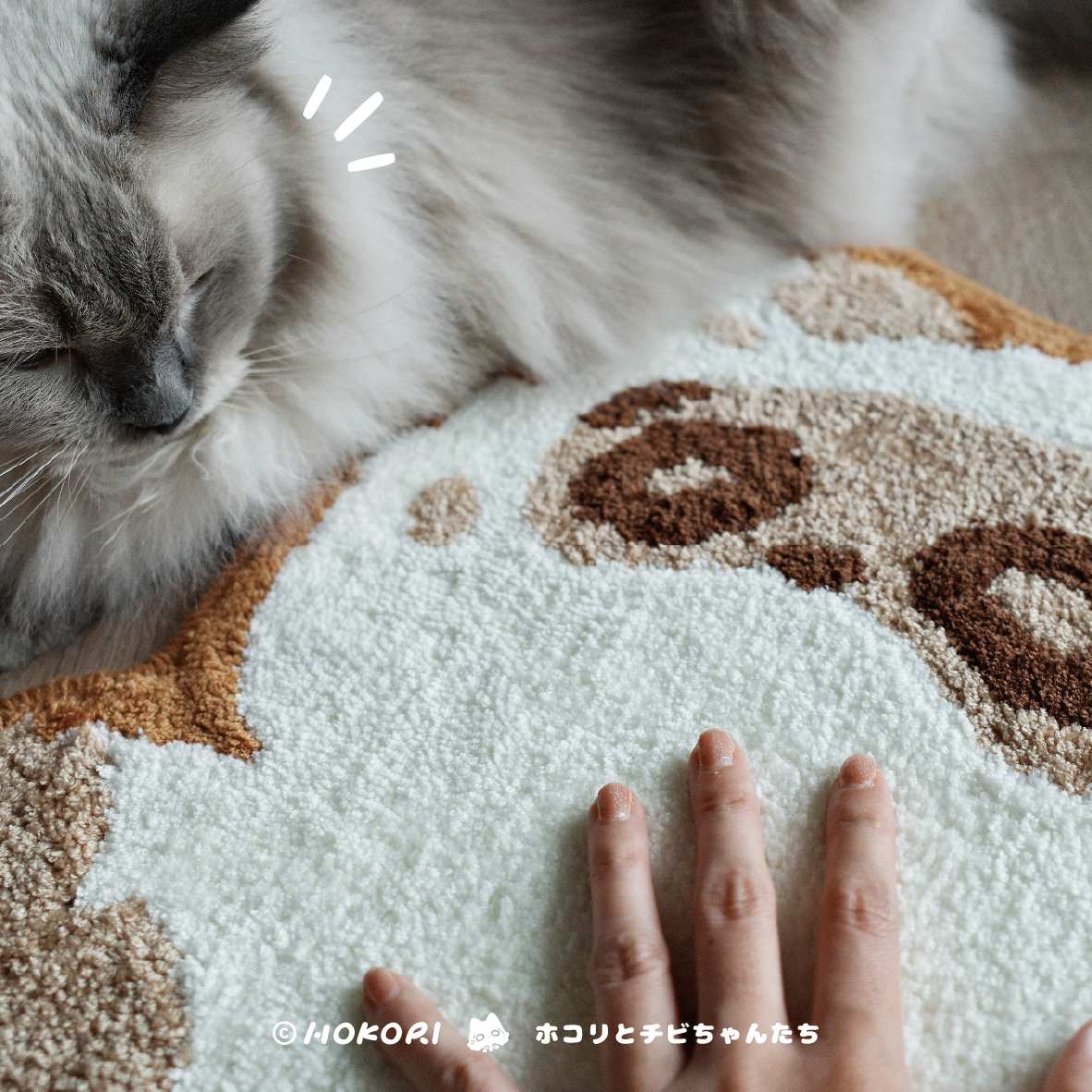 超厚超毛絨絨的灰塵地毯