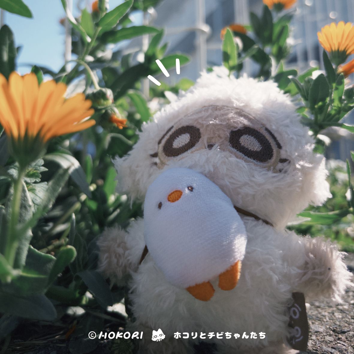 站著的灰塵寶寶！！！