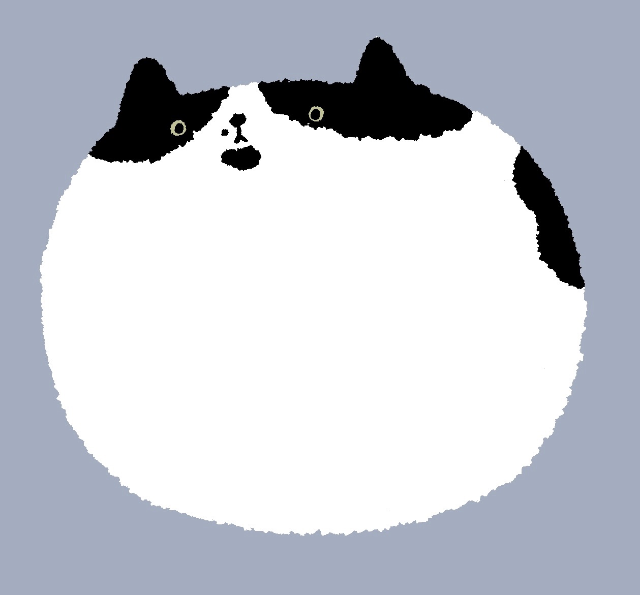 fannng 訂製（勿下單）